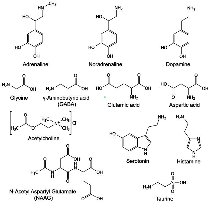 Neurotransmitters - Classification, Function, Synthesis, Release and Detection Methods