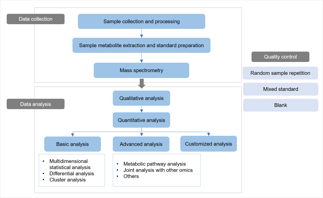 Workflow of targeted metabolomics service of pilocarpine