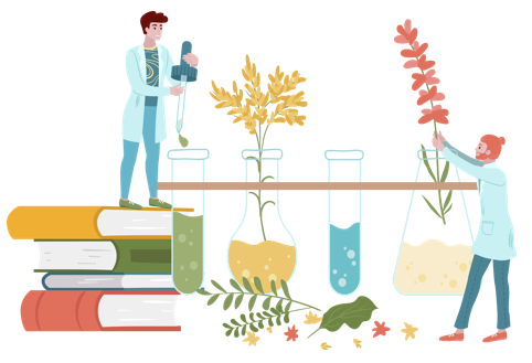 Plant Nutrient Metabolomics Analysis Services