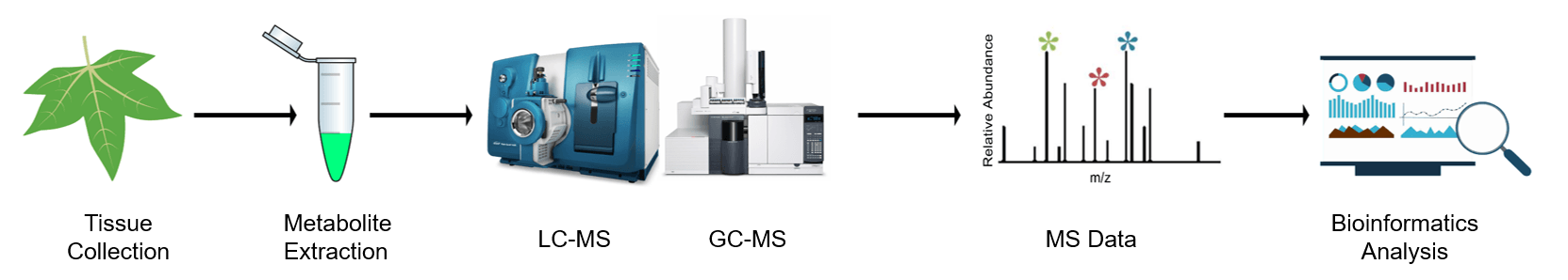 Plant Targeted Metabolomics Service Plant Targeted Metabolomics Service