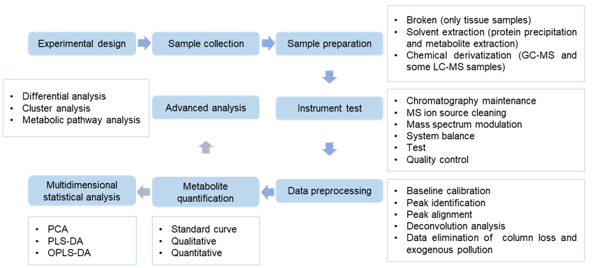 Citrulline analysis service workflow. 