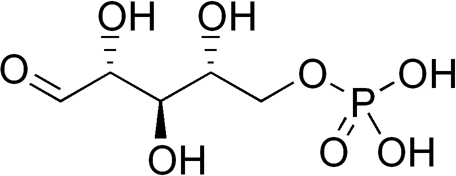 Molecular structure of ribose-5-phosphate