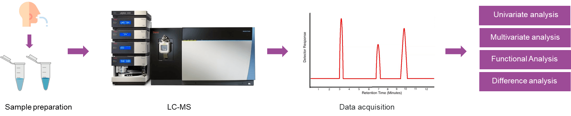 Fig 1. The workflow of untargeted metabolomics analysis