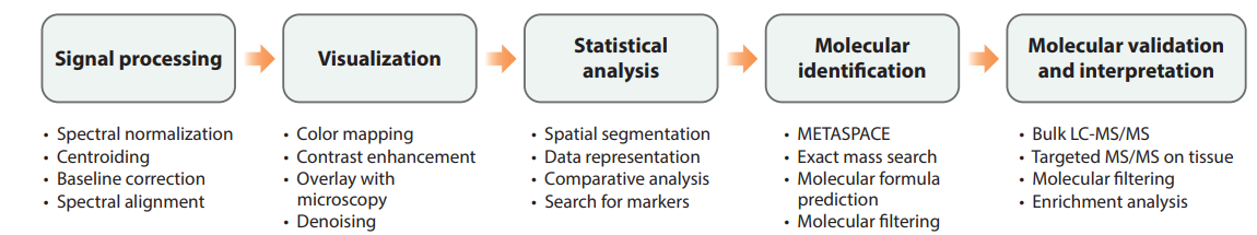 Steps of a typical data analysis workflow in imaging mass spectrometry
