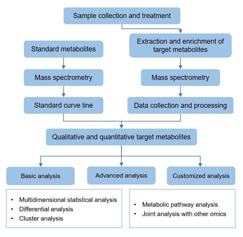 Workflow of targeted metabolomics service of theophylline