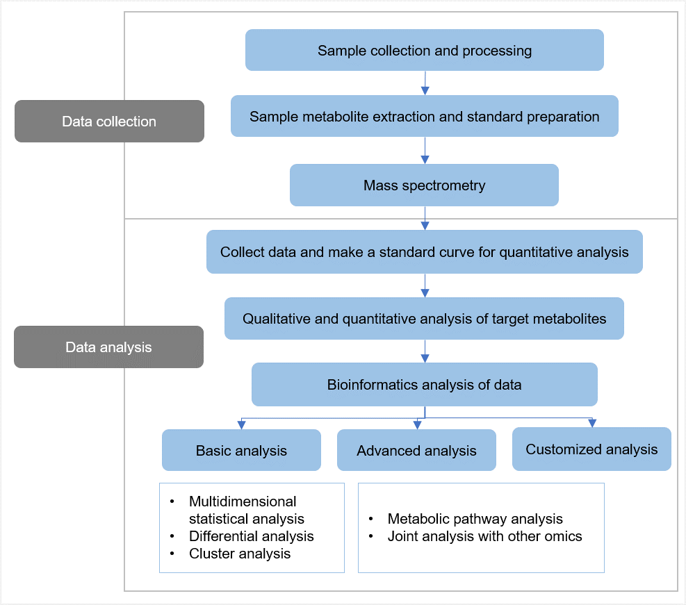 Workflow of targeted metabolomics service of vincristine