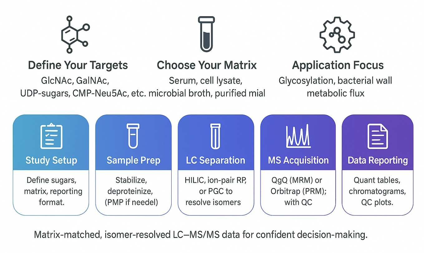 Amino Sugar and Nucleotide Sugar Analysis Workflow