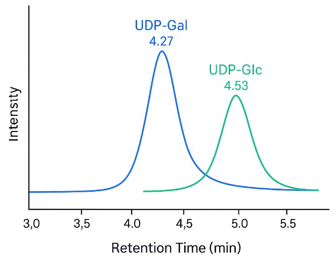 LC–MS/MS overlay chromatogram showing peak separation of UDP-Gal and UDP-Glc.