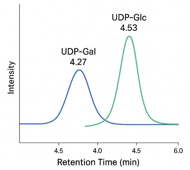 XIC overlay plot showing chromatographic resolution between GalNAc and GlcNAc peaks.