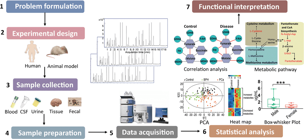 Animal Metabolomics Service