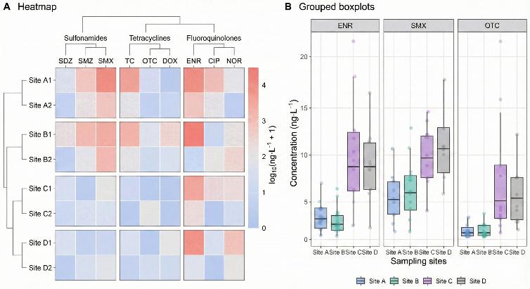 Heatmap and grouped boxplots of antibiotic concentrations across sampling sites.