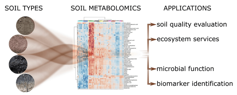 Application of soil metabolomics