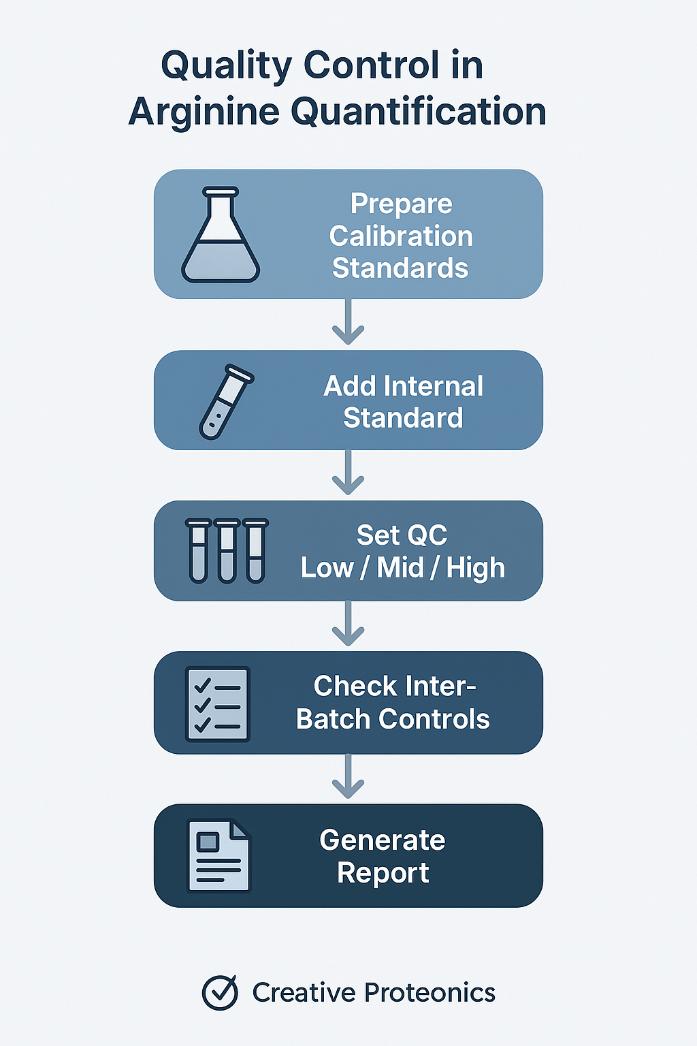 Quality control workflow for arginine quantification, from calibration preparation to batch-level data reporting. Each step ensures traceable, reproducible, and validated measurement performance.