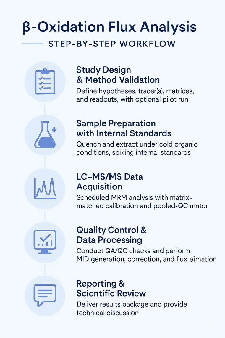 β-Oxidation Flux Panel Workflow
