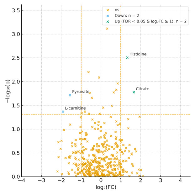 Volcano plot with log2 fold change versus −log10 p-value highlighting significant up- and down-regulated metabolites.