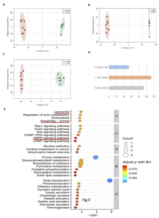 Effects of 40 mg/kg cafestol and 80 mg/kg cafestol treatments on the changes of metabolite profile. (Figure from Yuemei Feng et al., 2024)