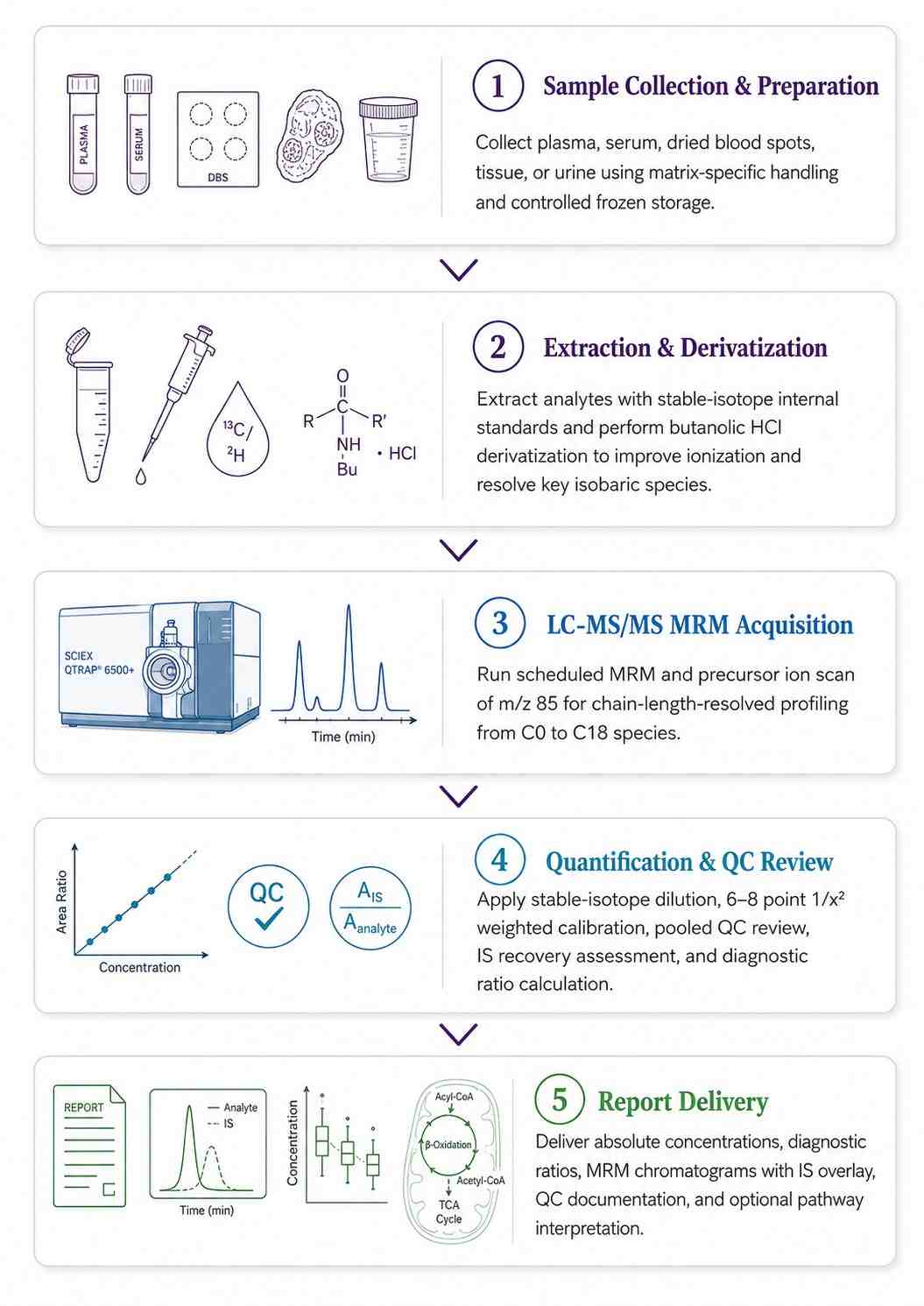 Acylcarnitine Analysis Workolow — Five-Step Pipeline orom Sample Collection to Quantitative LC-MS/MS Data