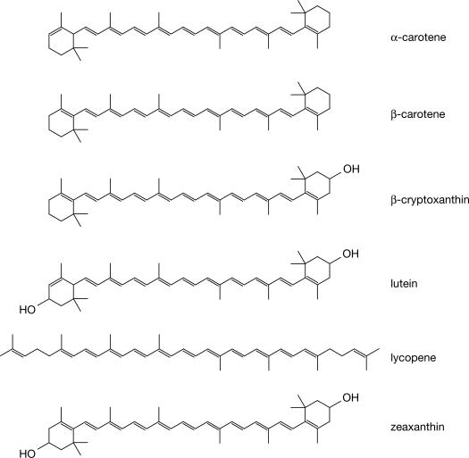 Chemical structures of the carotenoids