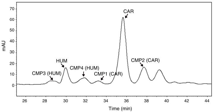 HPLC Chromatogram obtained for the optimized conditions.