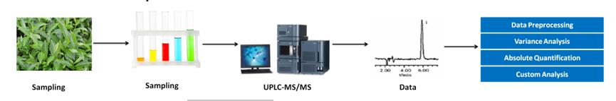 HPLC chromatograms of catechin and quercetin.