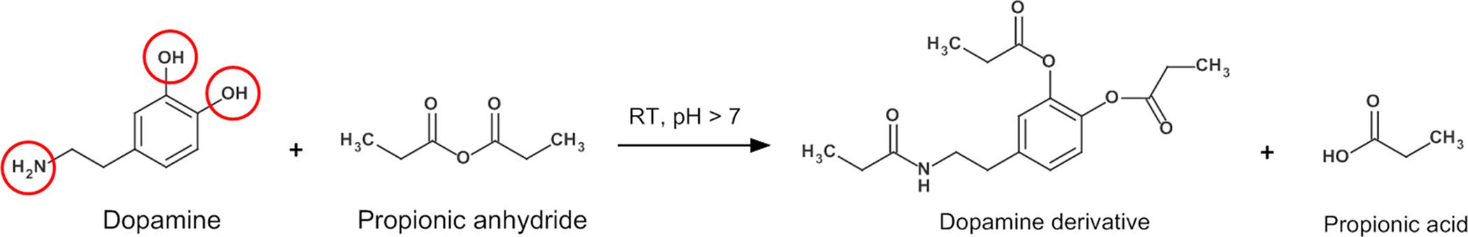 Derivatization reaction of dopamine with propionic anhydride. Formed derivative product is shown on the right side.