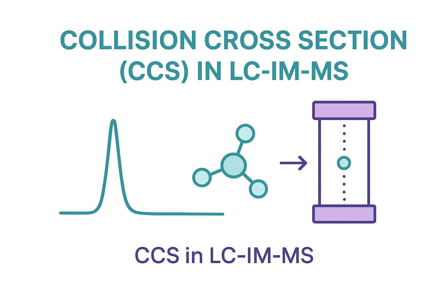 ccs-in-lc-im-ms-why-collision-cross-section-matters-for-metabolite-identification-1.jpg