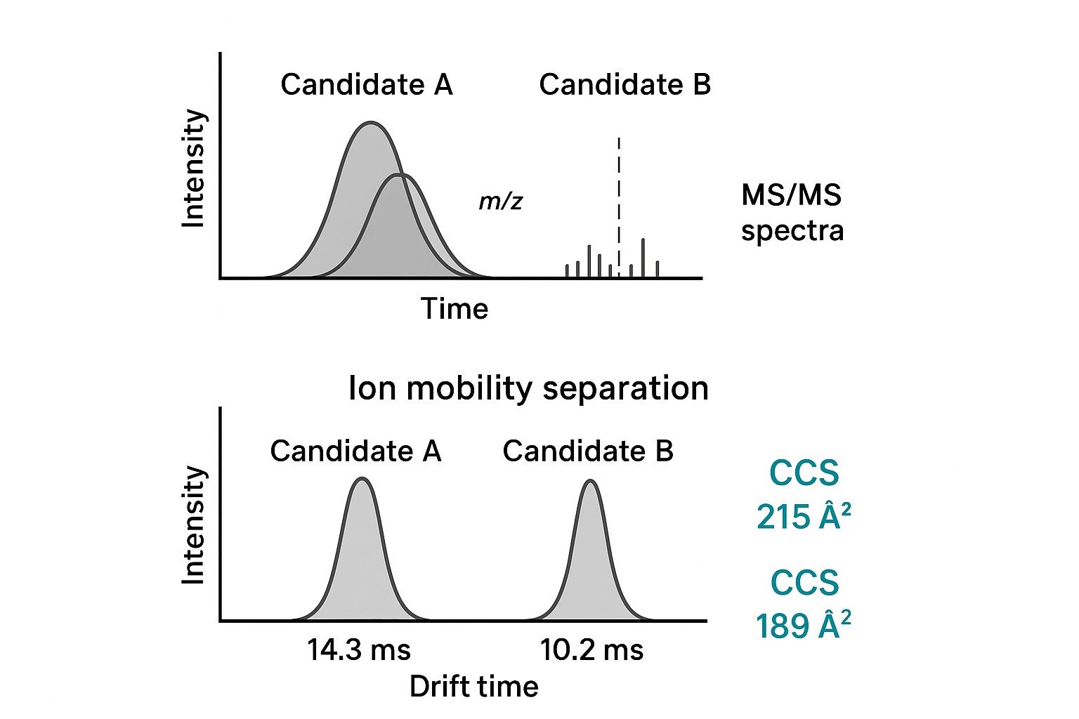 Schematic: same m/z and similar MS/MS, different drift time and CCS values separate candidate metabolites