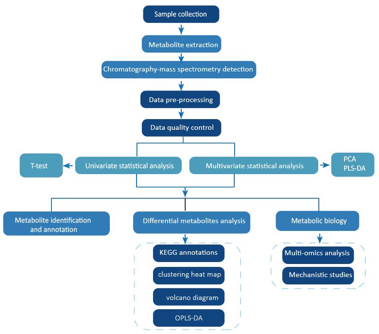 Workflow for Cembrene Analysis Service