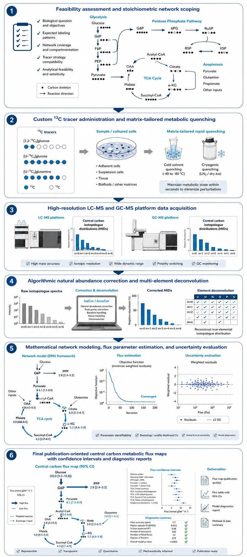 Six-step workflow for central carbon metabolic flux analysis