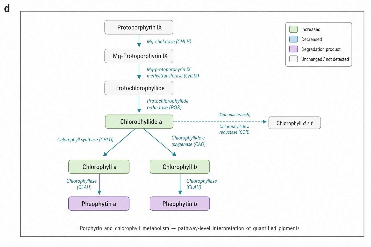 KEGG Porphyrin and Chlorophyll Metabolism Pathway with Detected Pigment Nodes Colored by Fold-Change