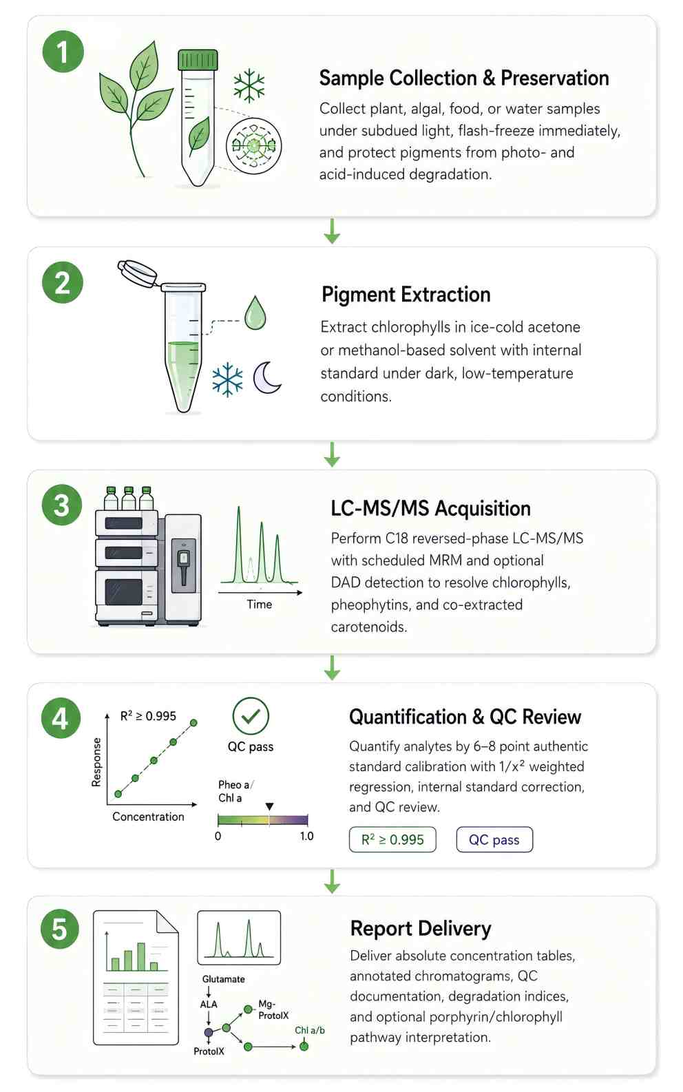 Chlorophyll Analysis Workflow — Five-Step Pipeline from Sample Collection to Quantitative LC-MS/MS Data