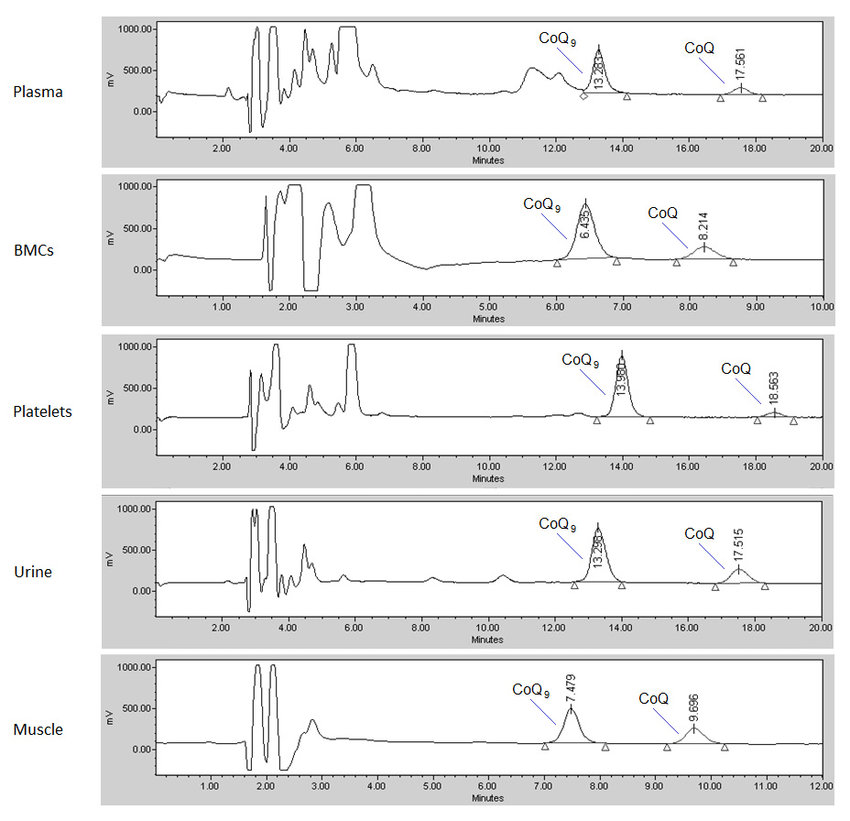 Typical chromatograms of coenzyme Q10 (CoQ) determination (HPLC with electrochemical detection) in the different biological samples: plasma, platelets, blood mononuclear cells (BMCs), urine, and muscle