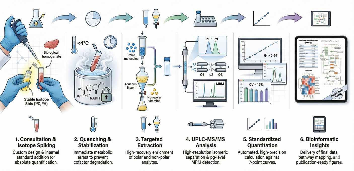 Vertical 6-step scientific workflow infographic for cofactor and vitamin analysis, from sample preparation to bioinformatic reporting