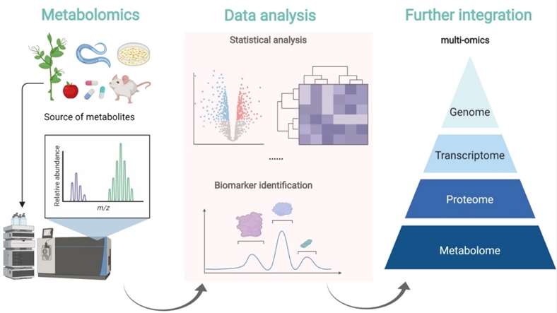 data-analysis-bioinformatics-metabolomics-1.jpg