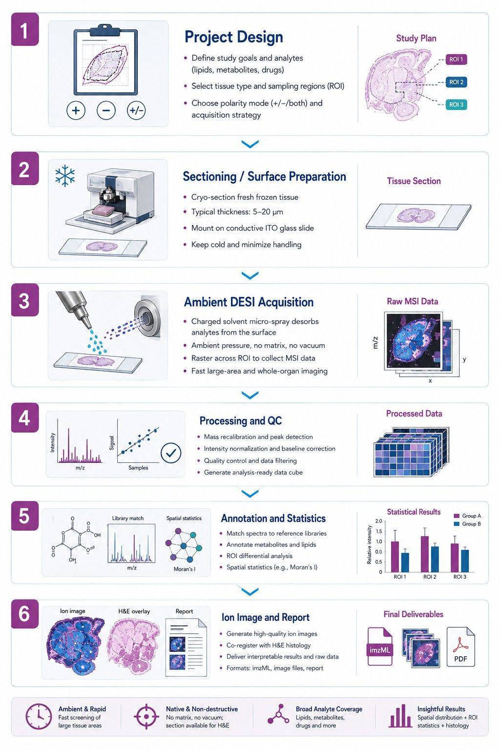 DESI-MSI spatial metabolomics workflow from tissue sectioning to ion image delivery