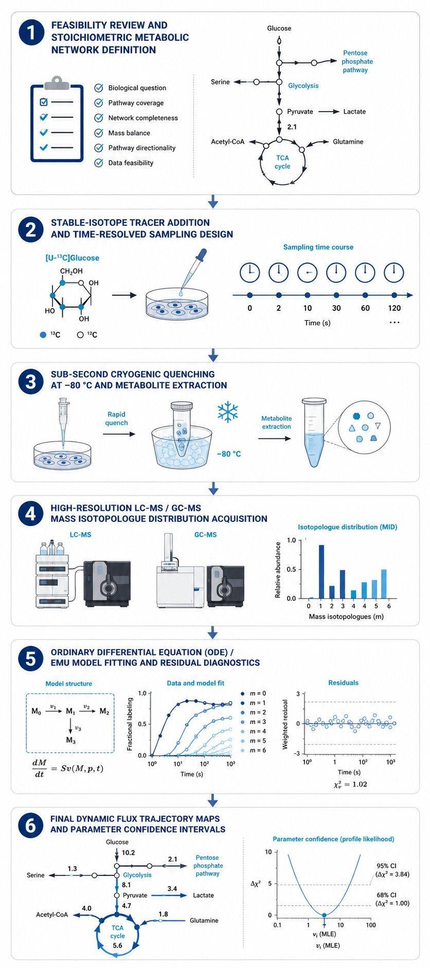 Six-step workflow for dynamic and isotopically nonstationary metabolic flux analysis