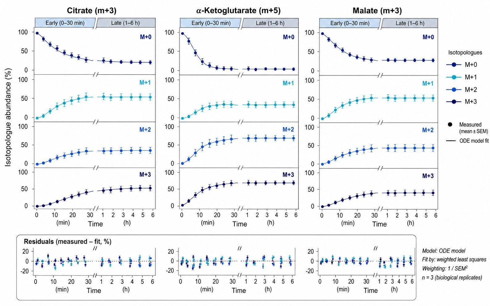 Time-course mass isotopomer distributions and ODE model-fit trajectories
