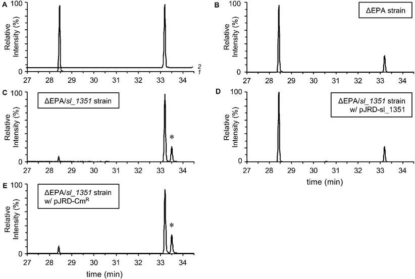 GC/MS analyses of fatty acid compositions