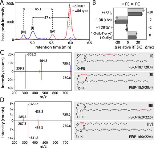 LC–MS/MS graph distinguishing 1-O-alkyl and 1-O-alk-1′-enyl lipids.