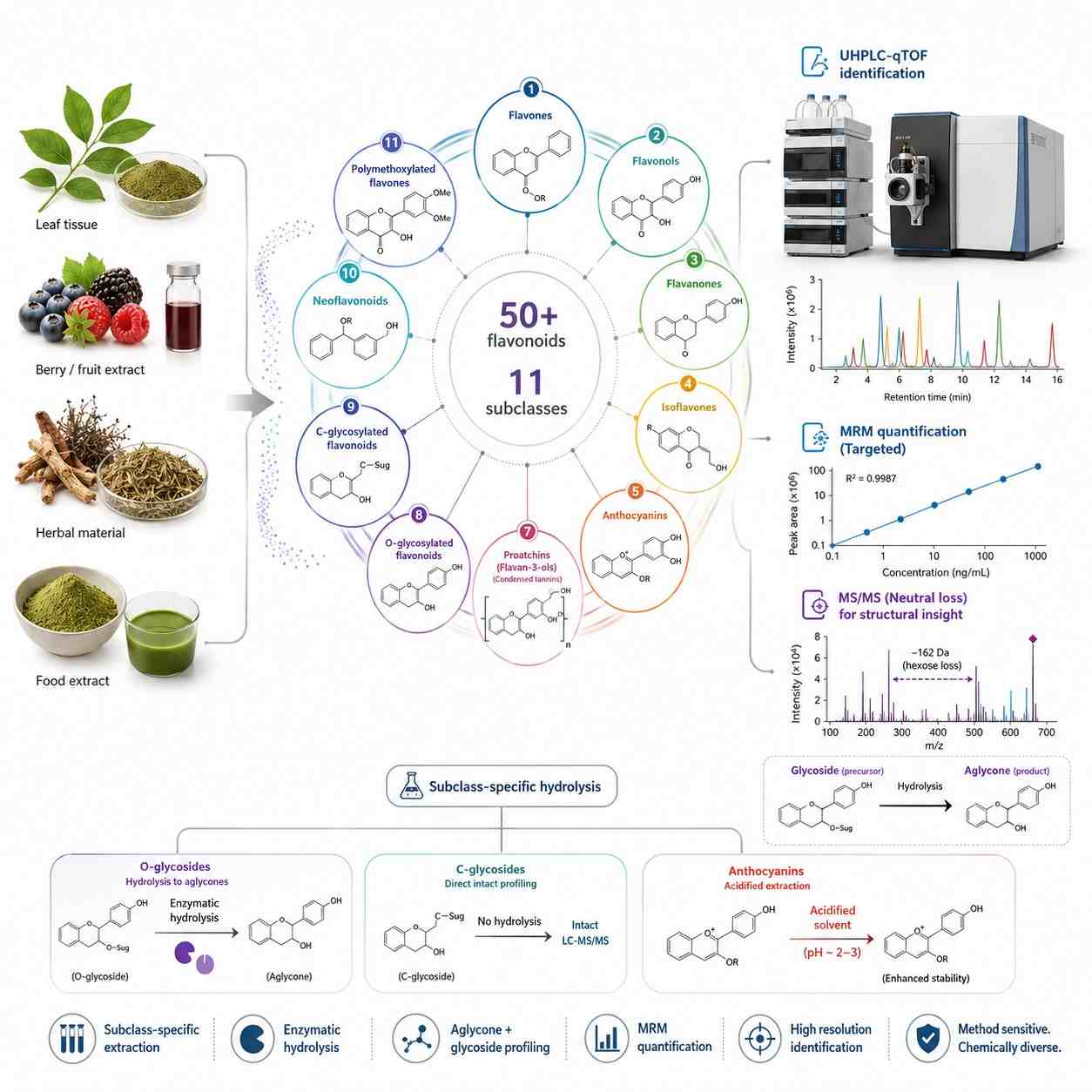 Flavonoid Analysis Service — LC-MS/MS Targeted Quantification of 50+ Flavonoids Across 11 Subclasses