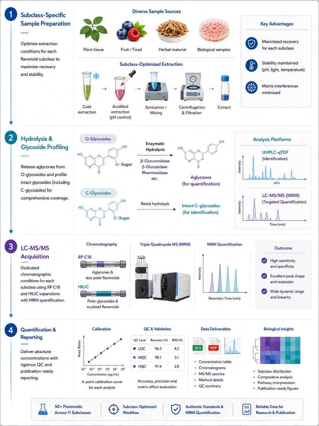 Flavonoid Analysis Workflow — Four-Step Pipeline from Subclass-Specific Sample Preparation to Quantification