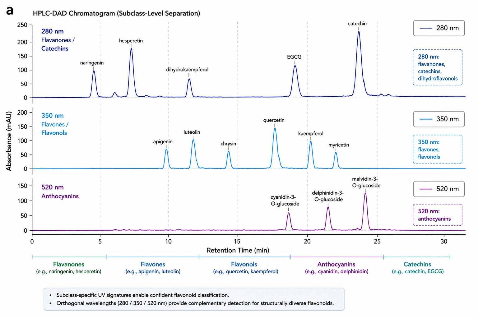 Flavonoid HPLC-DAD Chromatogram — Subclass Identification by UV Spectra and RP C18 Separation