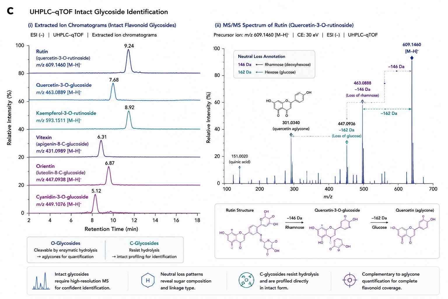 Flavonoid Glycoside Profiling — UHPLC-qTOF MS/MS Sugar Neutral Loss Identification