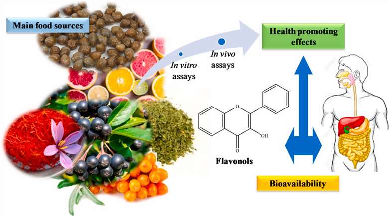 Food flavonols