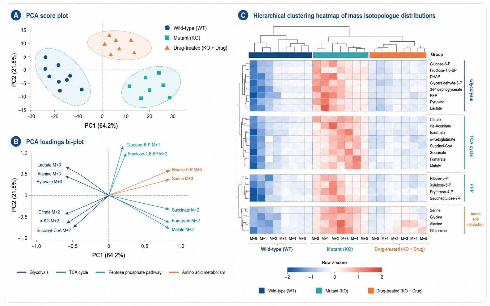 Multivariate PCA and hierarchical clustering bi-plot of mass isotopologue distributions