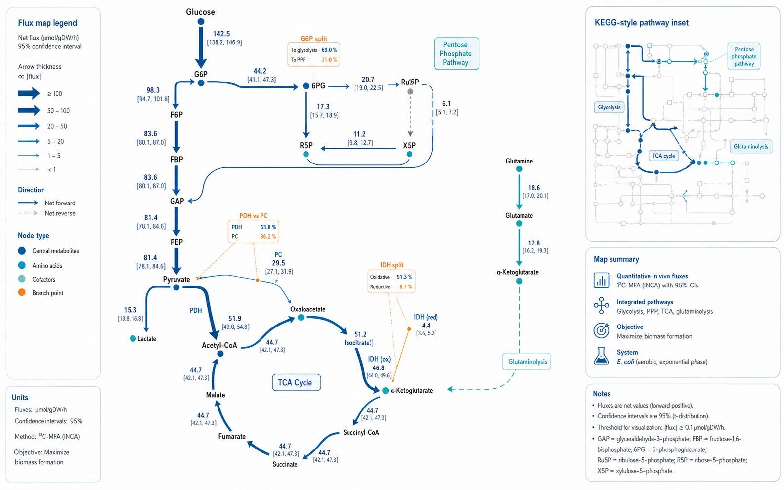Publication-quality metabolic flux map with statistical confidence intervals and KEGG mapping