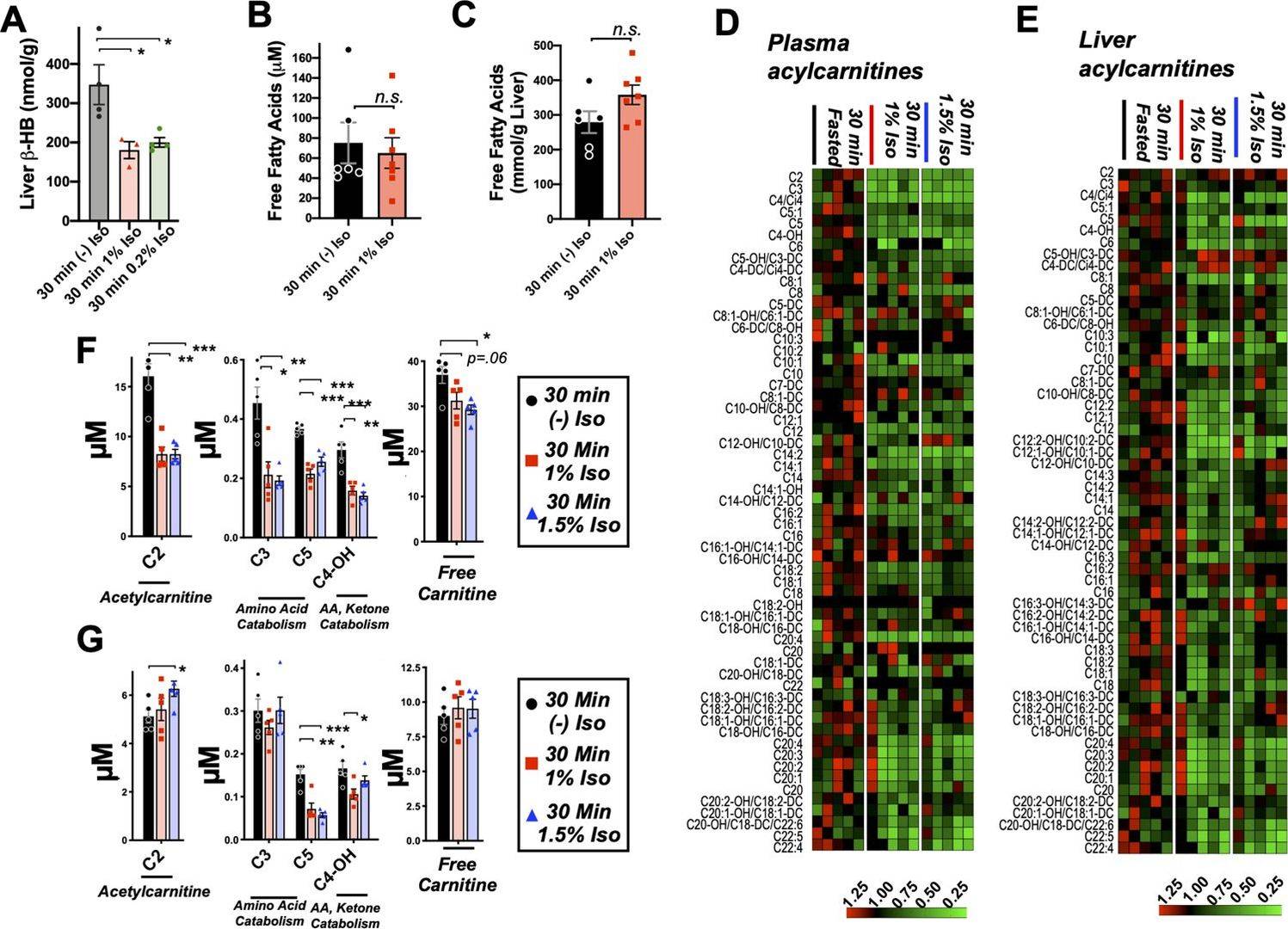 Figure 4. Targeted metabolomic profiling of whole liver beta-HB and fatty acid intermediates in isoflurane-exposed neonates
