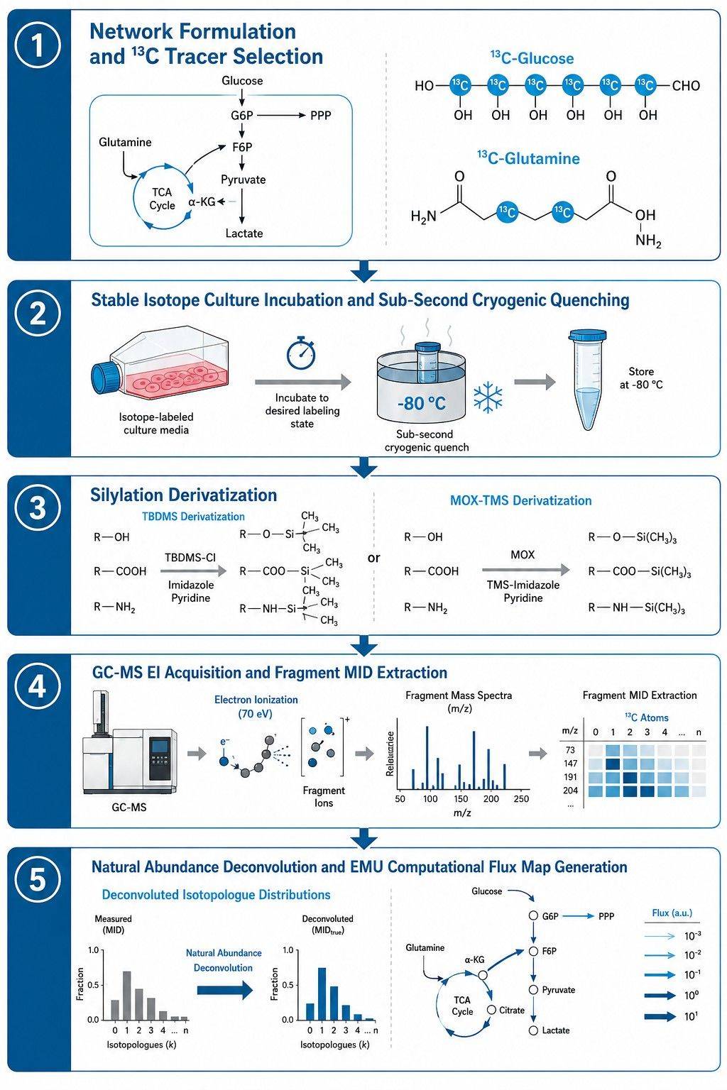 GC-MS Metabolic Flux Analysis Workflow