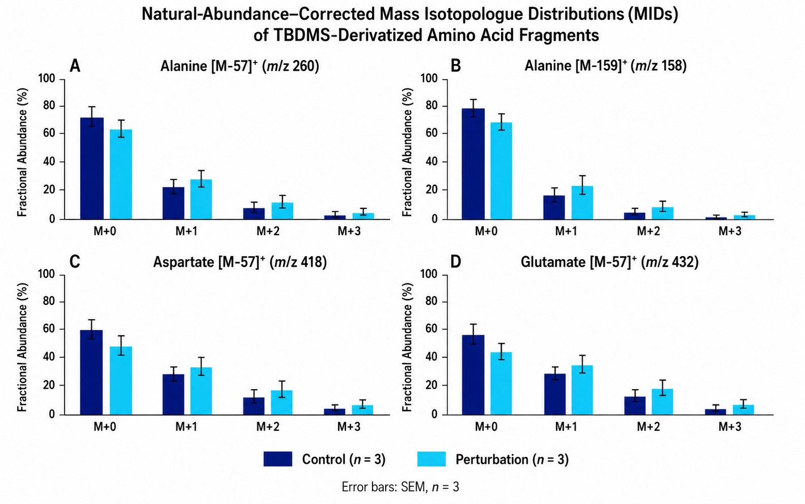 GC-MS Mass Isotopologue Distribution of TBDMS-derivatized amino acid fragments showing fractional 13C labeling