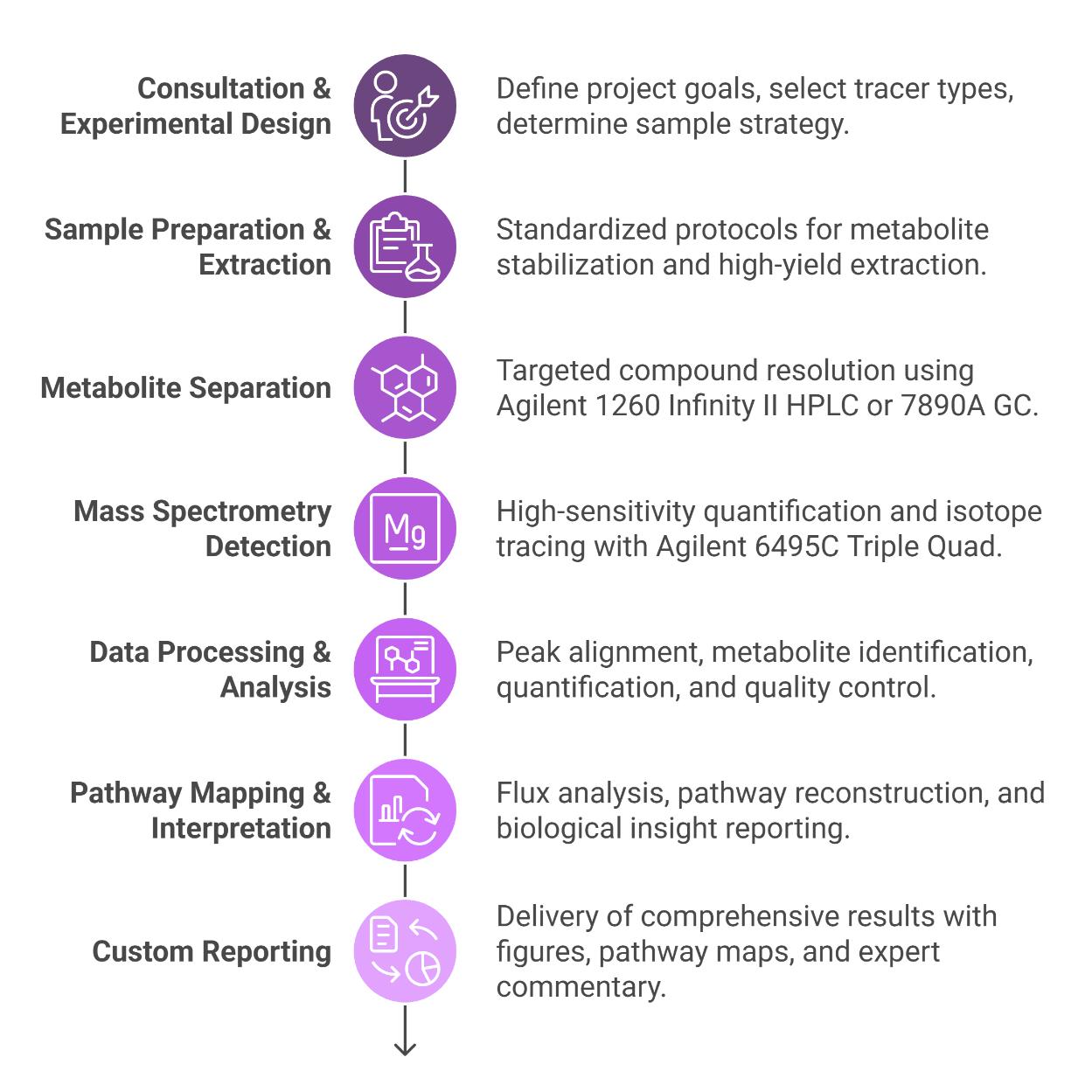 Gluconeogenesis Analysis Process